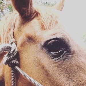 Meet your Posher, Kristi